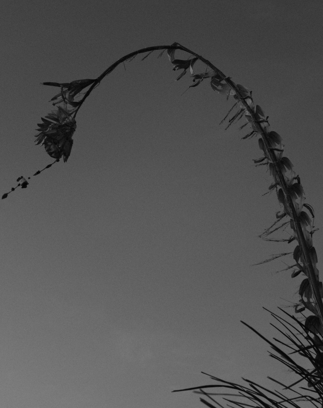 Frame photo 8